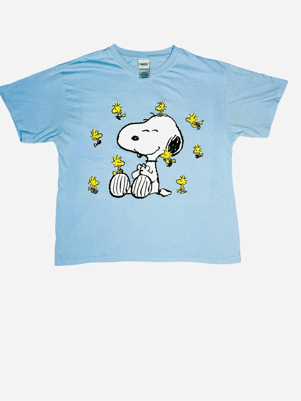 Peanuts Snoopy and
Woodstock Embroidered Light
Blue Graphic T-Shirt - Picture 6 of 8